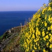 monesteroli.jpg