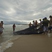 pesca.jpg