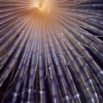 spirografo.jpg
